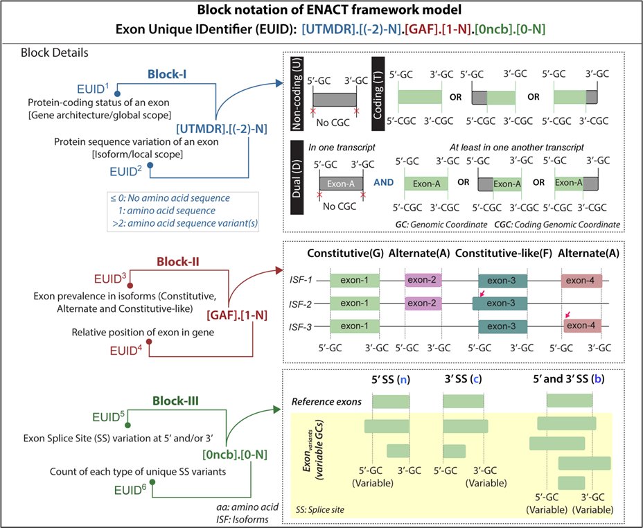 Block notation of the ENACT framework model
