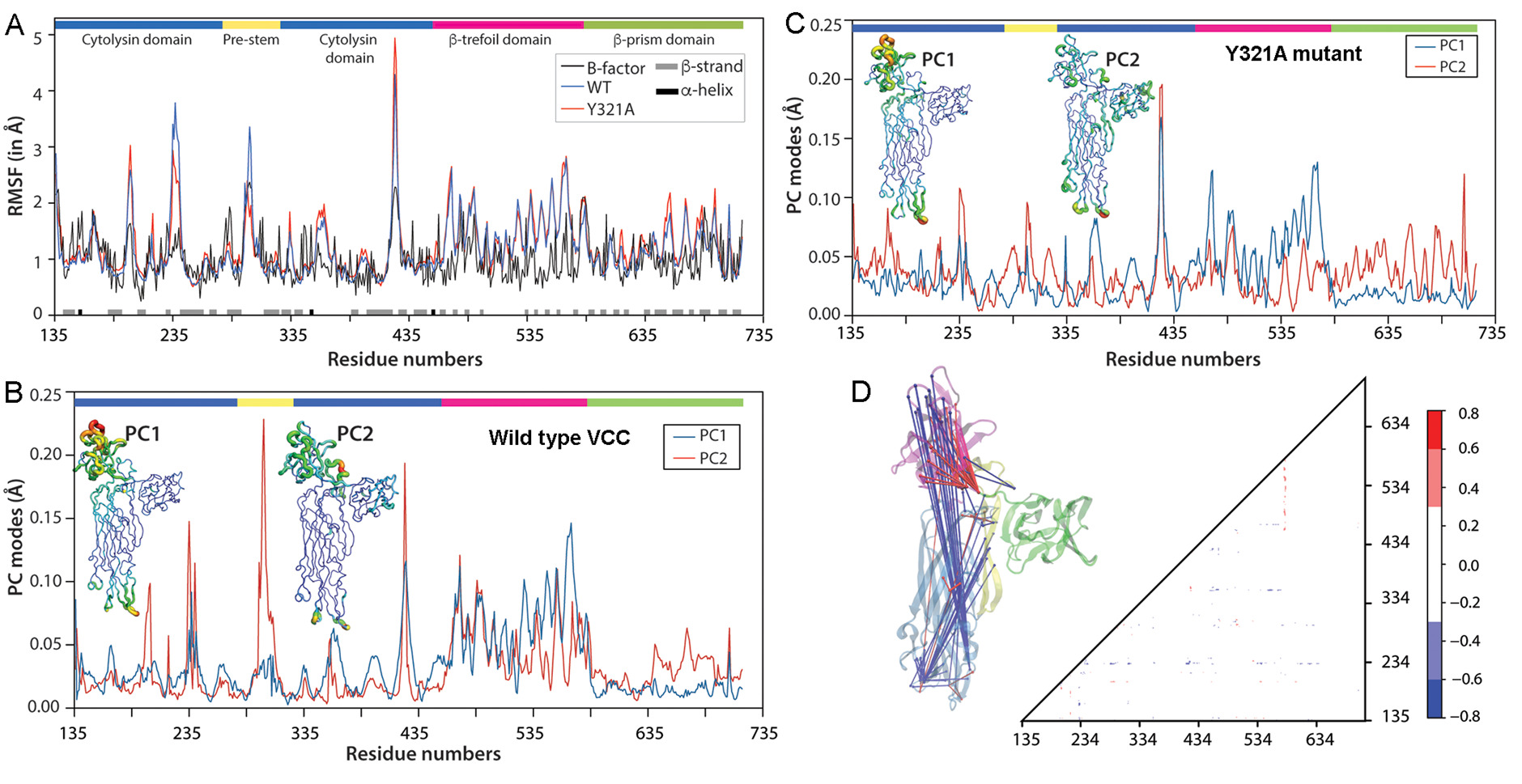RMSF, principal component, and contact-network analysis for Vibrio cholerae cytolysin